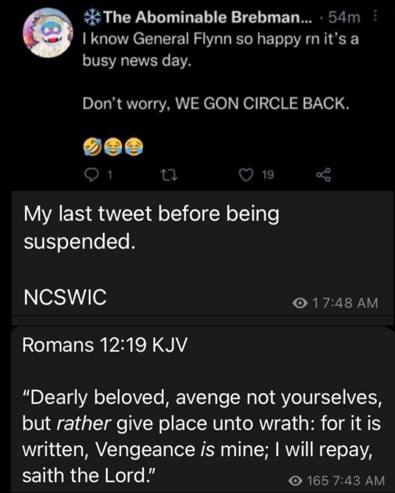 Read more about the article My last tweet before being suspended. NCSWIC – “I know General Flynn so happy rn it’s a busy news day. Don’t worry, WE GON CIRCLE BACK.”