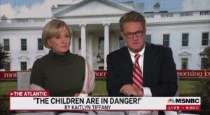Read more about the article MSNBC talked about Pizzagate on air this morning – You really think white hats aren’t in control?
