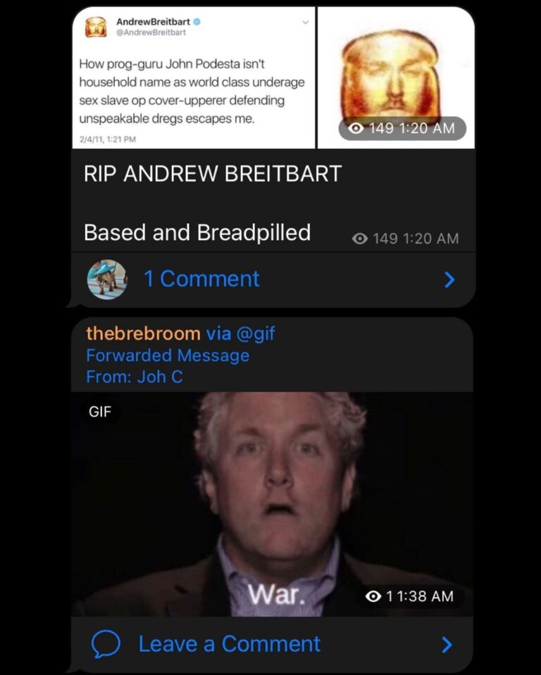 Read more about the article WAR – “How prog-guru John Podesta isnt household name as world class underage sex slave op cover-upperer defending unspeakable dregs escapes me. – RIP ANDREW BREITBART Based and Breadpilled