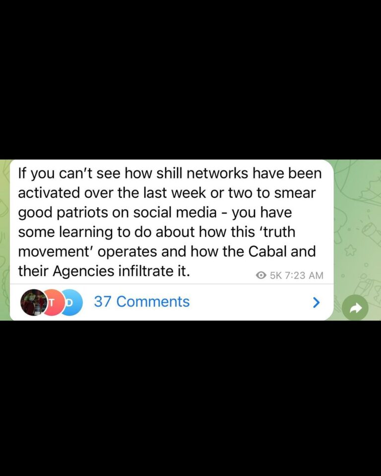 Read more about the article If you can’t see how shill networks have been activated over the last week or two to smear good patriots on social media – you have some learning to do about how this ‘truth movement’ operates and how the Cabal and their Agencies infiltrate it.