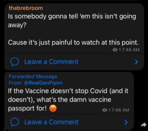 Read more about the article If the Vaccine doesn’t stop Covid (and it doesn’t), what’s the damn vaccine passport for!