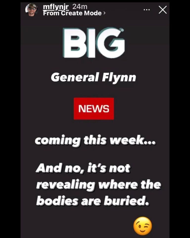 Read more about the article HOLY SHIT BIG GENERAL FLYNN NEWS JUST FLEW OVER ALL THE QUESTIONS HE HASNT ANSWERED  OH NO LINBROS DID WE GET TO COCKY?!!