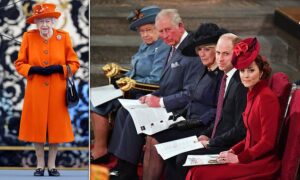 Read more about the article Queen CANCELS family pre-Christmas lunch for 50 people at Windsor Castle ‘with regret’ as a ‘precaution’ to try to save her loved ones’ festive plans