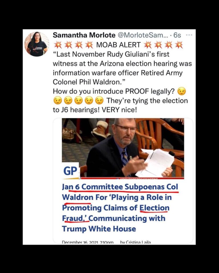 Read more about the article “Last November Rudy Giuliani’s first witness at the Arizona election hearing was information warfare officer Retired Army Colonel Phil Waldron.” How do you introduce PROOF legally? They’re tying the election to J6 hearings! VERY nice!