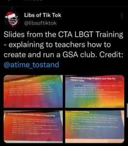 Read more about the article Slides from the CTA LBGT Training – explaining to teachers how to create and run a GSA club