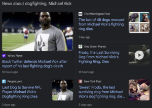 Read more about the article Michael Vick’s last saved dog dies, December 21, 2021, on the Winter Solstice, during Saturnalia