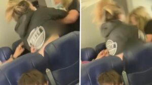 Read more about the article Woman Pleads Guilty To Brutal Beatdown of Southwest Flight Attendant Who Lost 2 Teeth