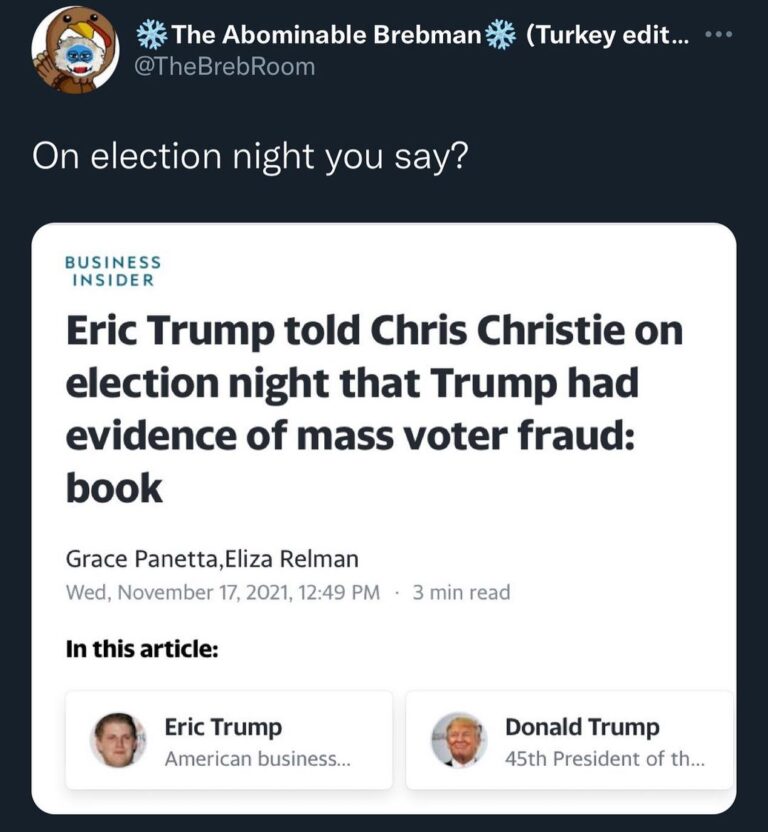 Read more about the article Eric Trump told Chris Christie on election night that Trump had evidence of mass voter fraud: book