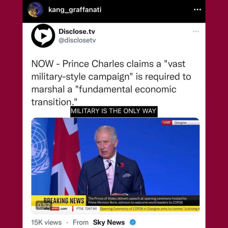 Read more about the article NOW – Prince Charles claims a “vast military-style campaign” is required to marshal a “fundamental economic transition.” MILITARY IS THE ONLY WAY