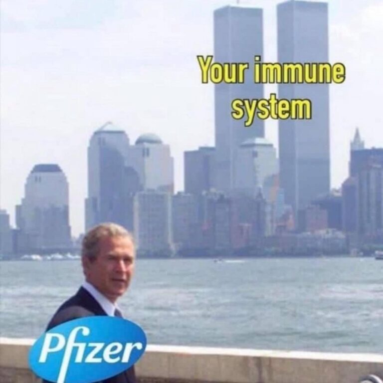 Read more about the article Your Immune System (Twin Towers) – Pfizer (George Bush) – They are back trying to meme again 🤣