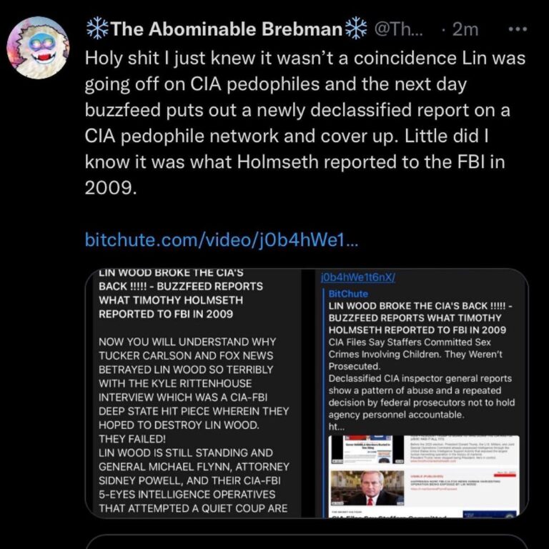 Read more about the article Holy shit I just knew it wasn’t a coincidence Lin was going off on CIA pedophiles and the next day buzzfeed puts out a newly declassified report on a CIA pedophile network and cover up. Little did I know it was what Holmseth reported to the FBI in 2009.
