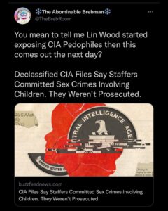 Read more about the article You mean to tell me Lin Wood started exposing CIA Pedophiles then this comes out the next day?