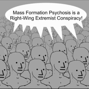 Read more about the article Mass Formation Psychosis is a Right-Wing Extremist Conspiracy!