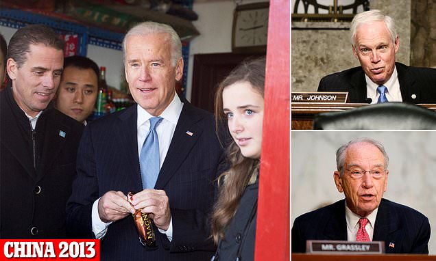 Read more about the article Secret Service hid details of Hunter Biden’s overseas travel to China, Russia an