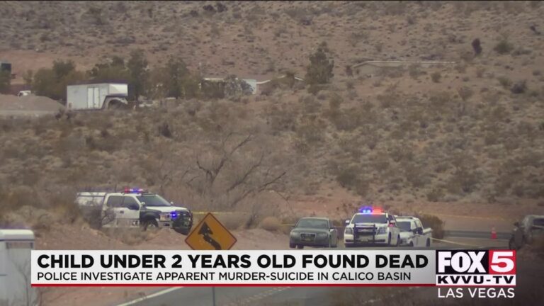 Read more about the article Woman, baby found dead at Red Rock Canyon in Las Vegas