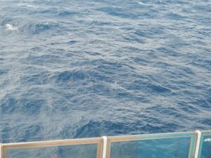 Read more about the article Carnival Cruise Lines Says Woman Jumped Overboard From Ship Near New Orleans