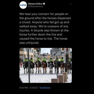 Read more about the article We hear your concern for people on the ground after the horses dispersed a crowd. Anyone who fell got up and walked away. We’re unaware Of any injuries. A bicycle was thrown at the horse further down the line and caused the horse to trip. The horse was uninjured.