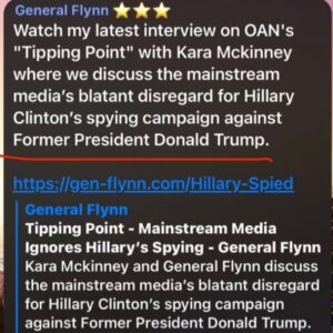 Read more about the article What did Mini “fooled me once” Mike Flynn mean by this?