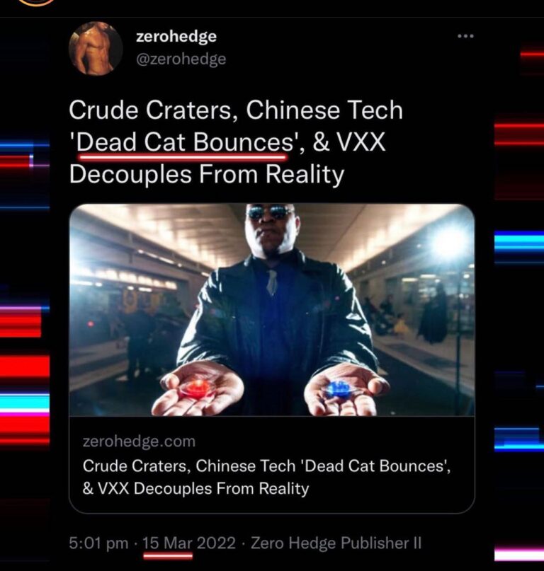 Read more about the article Crude Craters, Chinese Tech ‘Dead Cat Bounces’, & VXX Decouples From Reality