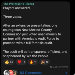Read more about the article The Professor’s Record Prayers answered. Three votes. After an extensive presentation, one courageous New Mexico County Commission just voted unanimously to partner with America’s Audit Force to proceed with a full forensic audit.