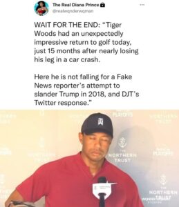 Read more about the article Tiger Woods stands up for Trump