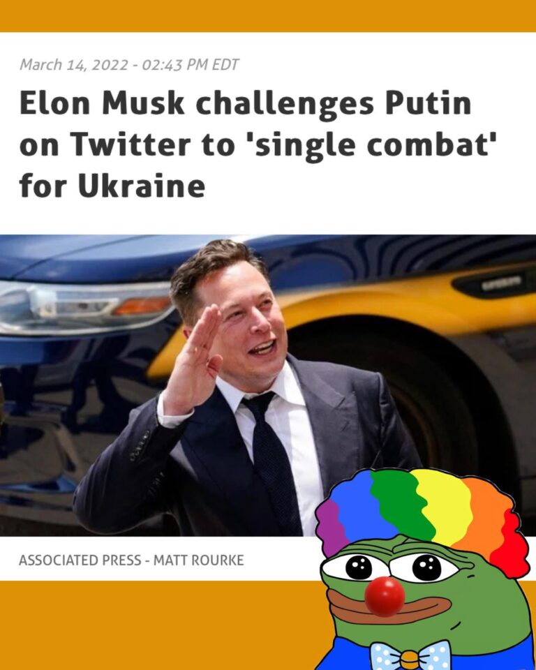 Read more about the article Elon Musk, challenges Russian President Vladimir Putin to “single combat” over U