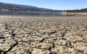 Read more about the article Los Angeles Imposes New Water Restrictions Amid Drought, Asks Residents to Reduce Showering Time by 4 Minutes