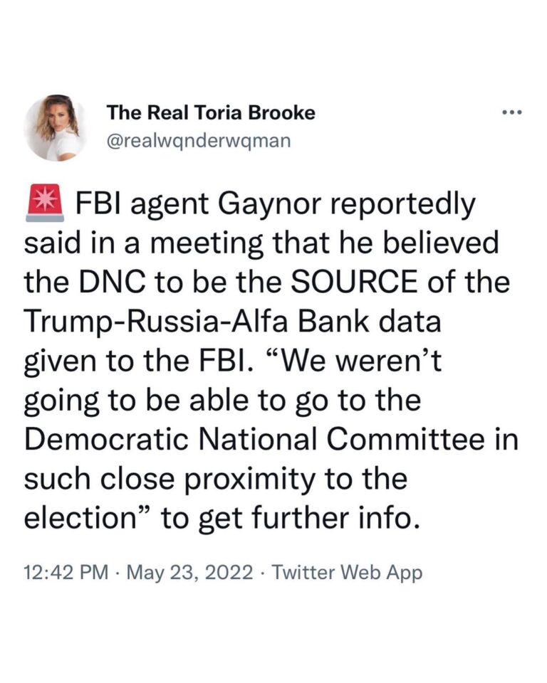 Read more about the article FBI agent Gaynor reportedly said in a meeting that he believed the DNC to be the SOURCE of the Trump-Russia-Alfa Bank data given to the FBI. “We weren’t going to be able to go to the Democratic National Committee in such close proximity to the election” to get further info.