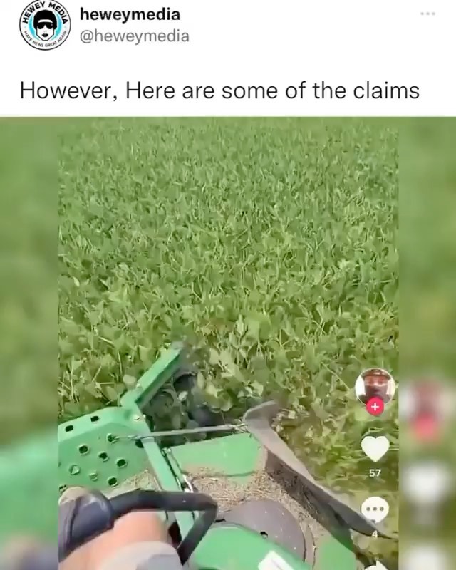 Why is the government PAYING farmers to destroy their crops and