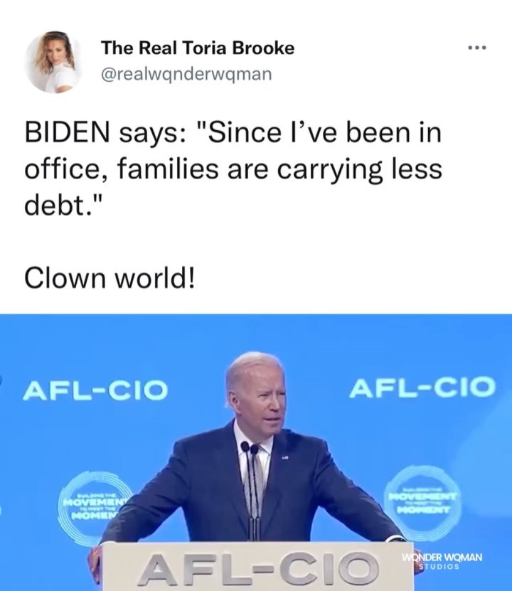 Read more about the article You’re gonna want to SWIPE – BIDEN says: “Since I’ve been in office, families are carrying less debt.” Clown world!