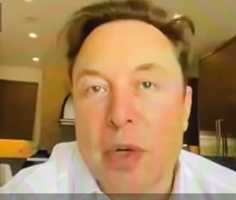 Read more about the article WATCH: Video Leaks From Elon Musk’s Call With Twitter Employees