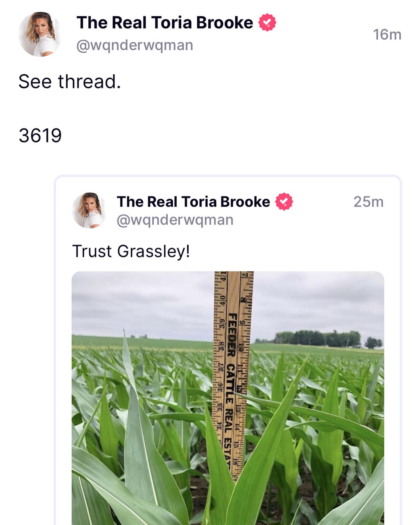 You are currently viewing TRUST GRASSLEY
 3619
36-19 = 17