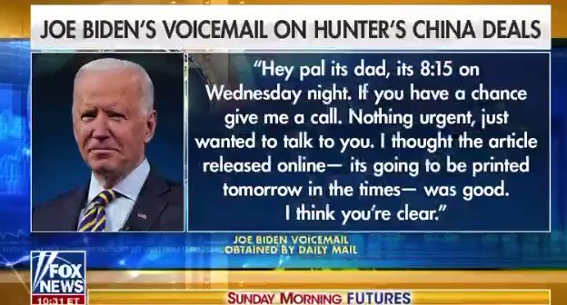 Read more about the article Peter Schweizer says Joe and Hunter Biden are headed to prison after SMOKING GUN