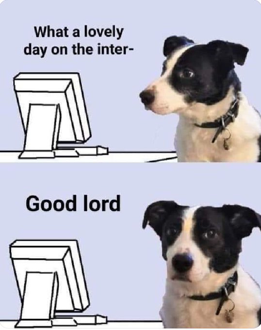 Read more about the article Twitter: #4chan 
Everyone: #HunterBiden 
Me:
