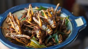 Read more about the article Major Supermarket In UK Planning To Sell BUGS As Food To Help Poor People Through Winter