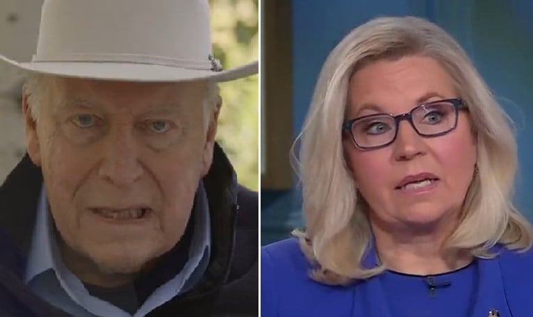 Read more about the article Liz Cheney Attacks and Smears Kevin McCarthy as “Pro-Putin” for Not Supporting War in Ukraine with Endless Stream of Billions in US Aid (VIDEO)