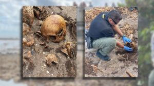 Read more about the article Skeletal Remains of at Least 6 Bodies Unearthed by Hurricane Nicole in Martin County, Florida