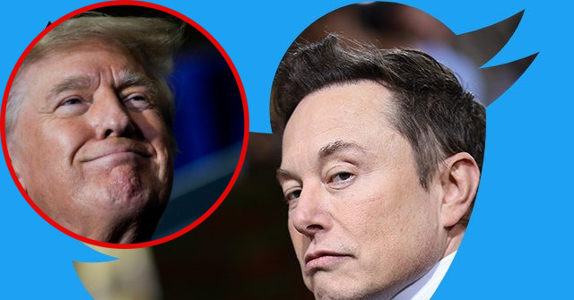 Read more about the article Elon Musk Restores Donald Trump’s Twitter Account