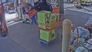 Read more about the article 83-Year-Old Home Depot Worker Dies After Being Violently Shoved to the Ground by Thief