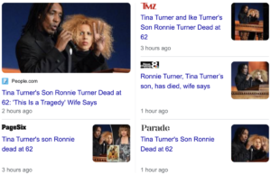 Read more about the article Ronnie Turner, Tina Turner’s son, dead at 62, December 8, 2022