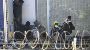 Read more about the article Large Group of Migrants Found Hiding in International Delivery Truck