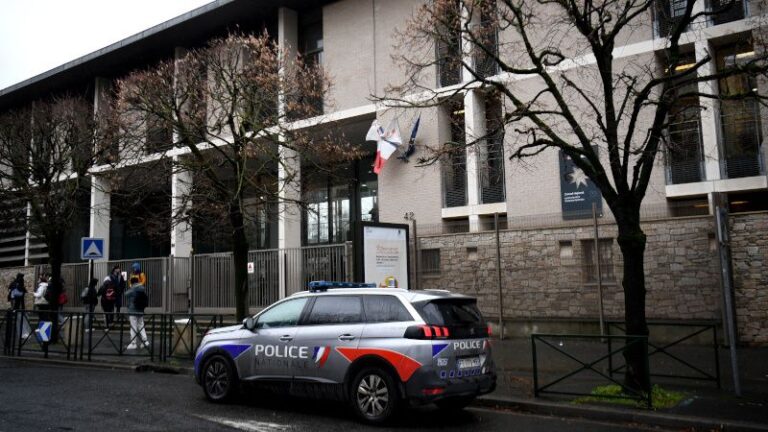 Read more about the article Teen Stabbed by African ‘Refugee’ at French School