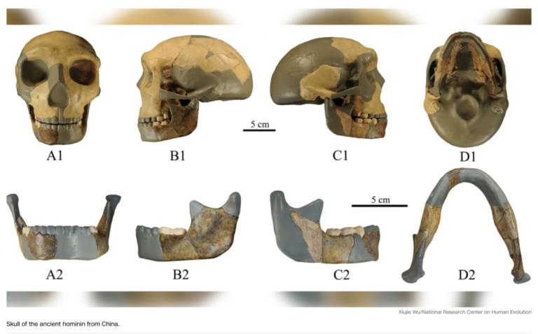 Read more about the article CNN writes about a very old skull, August 10, 2023 (hello Order 322)
